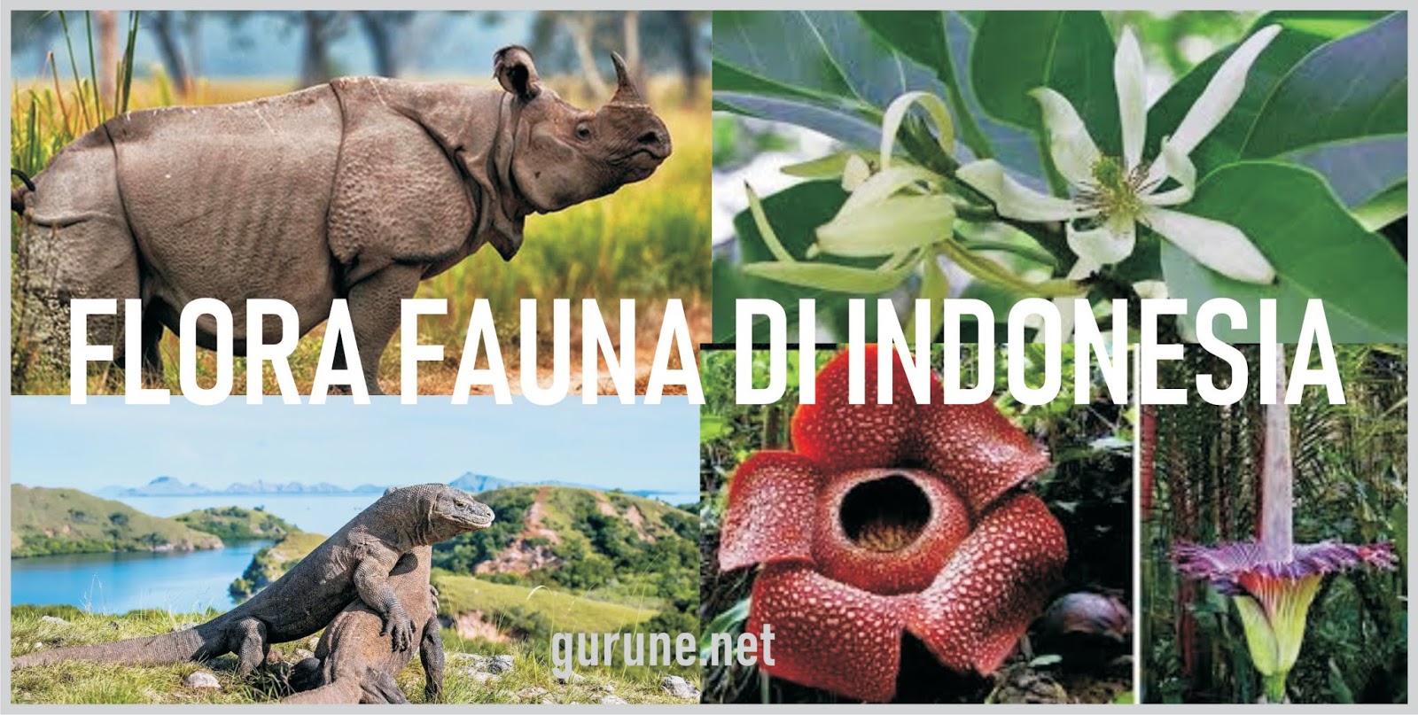 Penyebab beragamnya flora dan fauna di indonesia diantaranya adalah ….