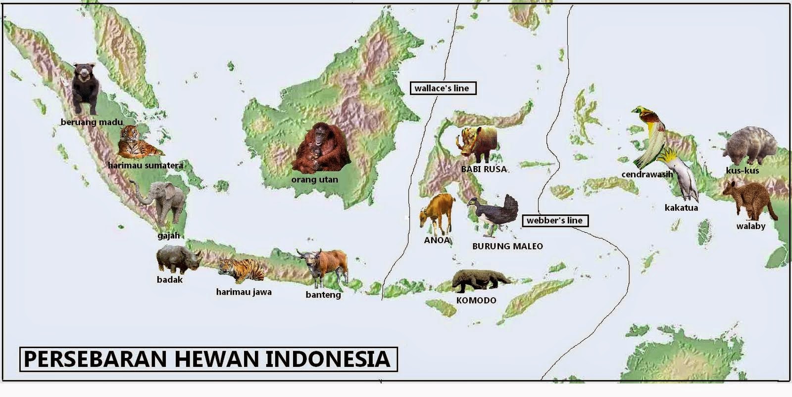 Beragamnya Flora dan Fauna Indonesia - Materi Kelas V Tema 1 Sub Tema 2 Pembelajaran 4
