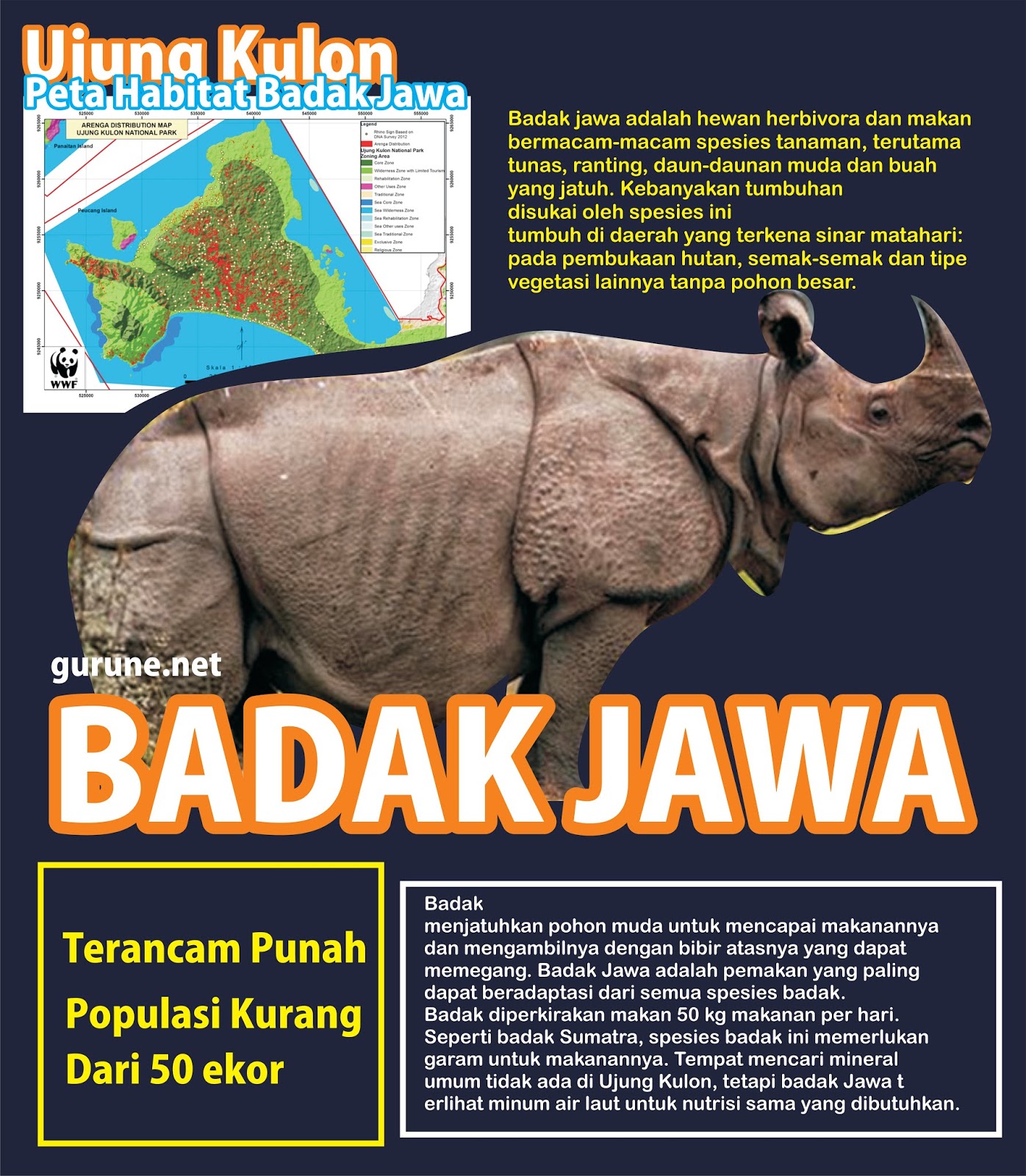 Contoh poster yang menjelaskan segala informasi yang berhubungan dengan badak jawa