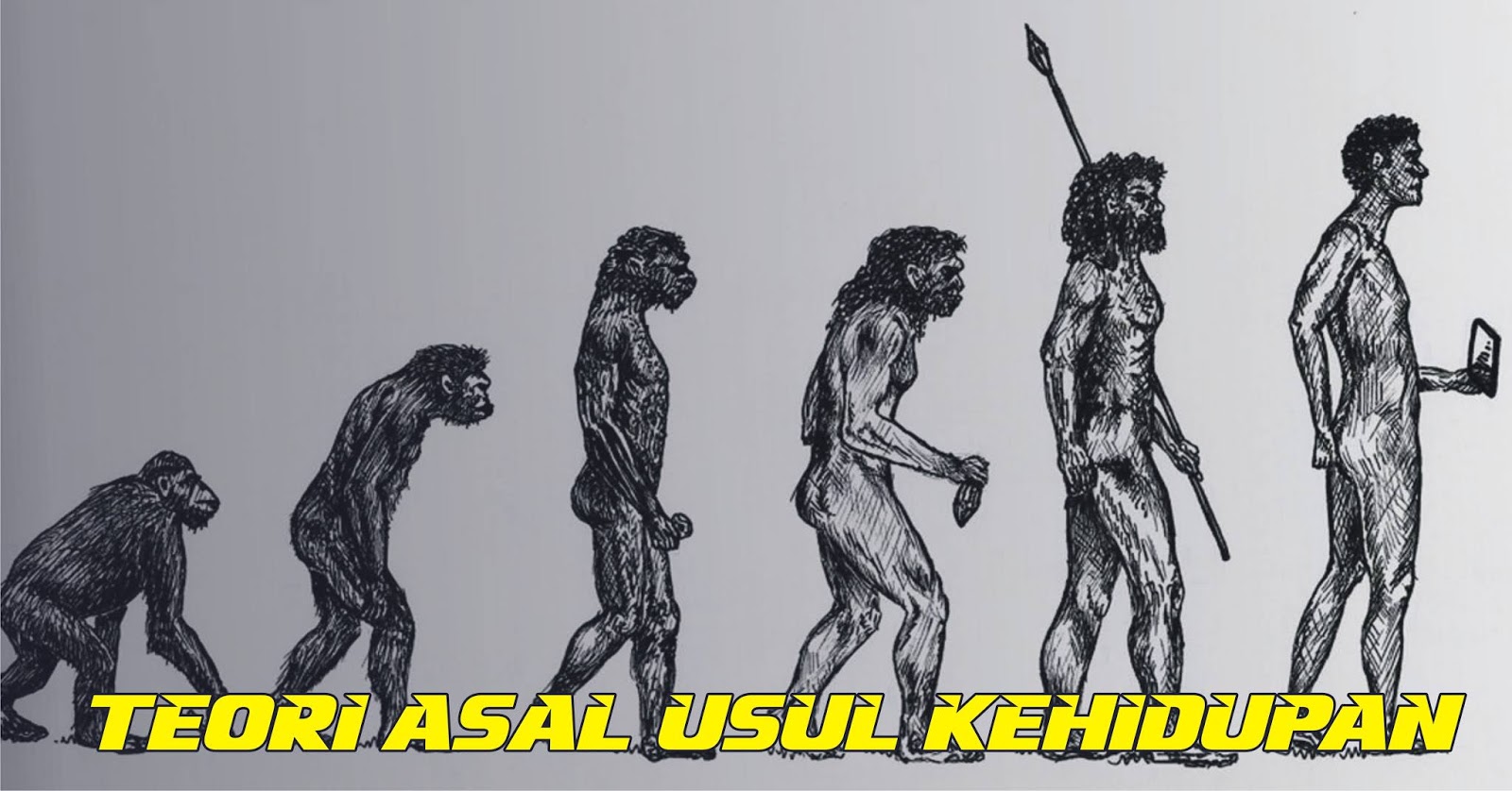 evolusi darwin