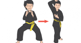 tangkisan pencak silat