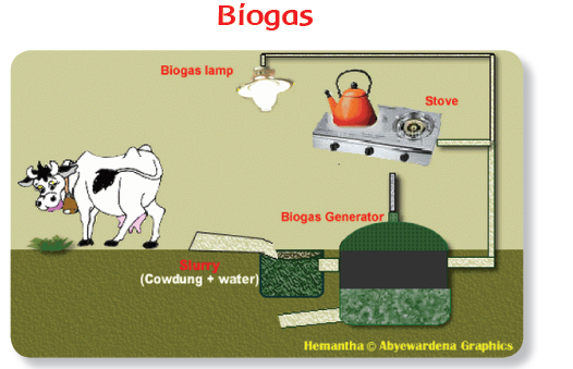 Kunci Jawaban Bacaan Biogas, Kelas 3 SD