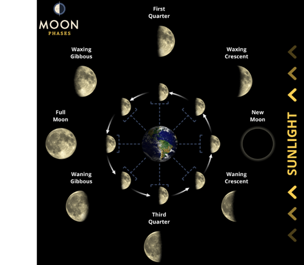 Gambar 8 Fase Bulan