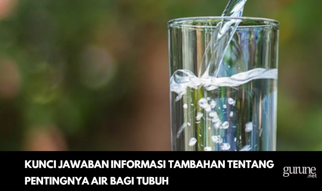 Kunci Jawaban Informasi Tambahan Tentang Pentingnya Air Bagi Tubuh