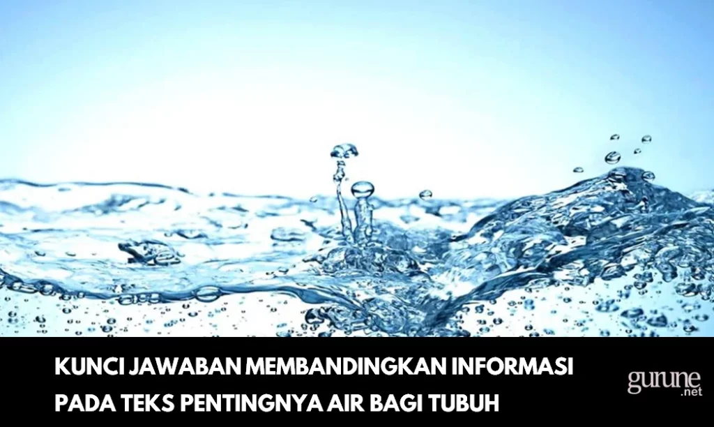 Kunci Jawaban Membandingkan Informasi pada Teks Pentingnya Air bagi Tubuh Kita