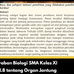 Kunci Jawaban Biologi SMA Kelas XI Aktivitas 1.8 tentang Organ Jantung
