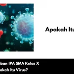 Kunci Jawaban IPA SMA Kelas X tentang Apakah Itu Virus?