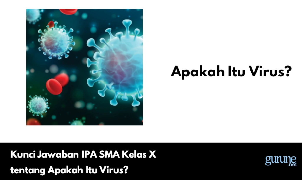 Kunci Jawaban IPA SMA Kelas X tentang Apakah Itu Virus?