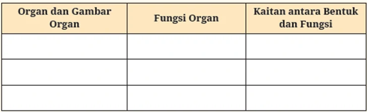 Kunci Jawaban Biologi SMA Kelas XI Organ Tumbuhan dan Fungsinya