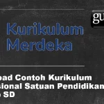 Download Contoh Kurikulum Operasional Satuan Pendidikan